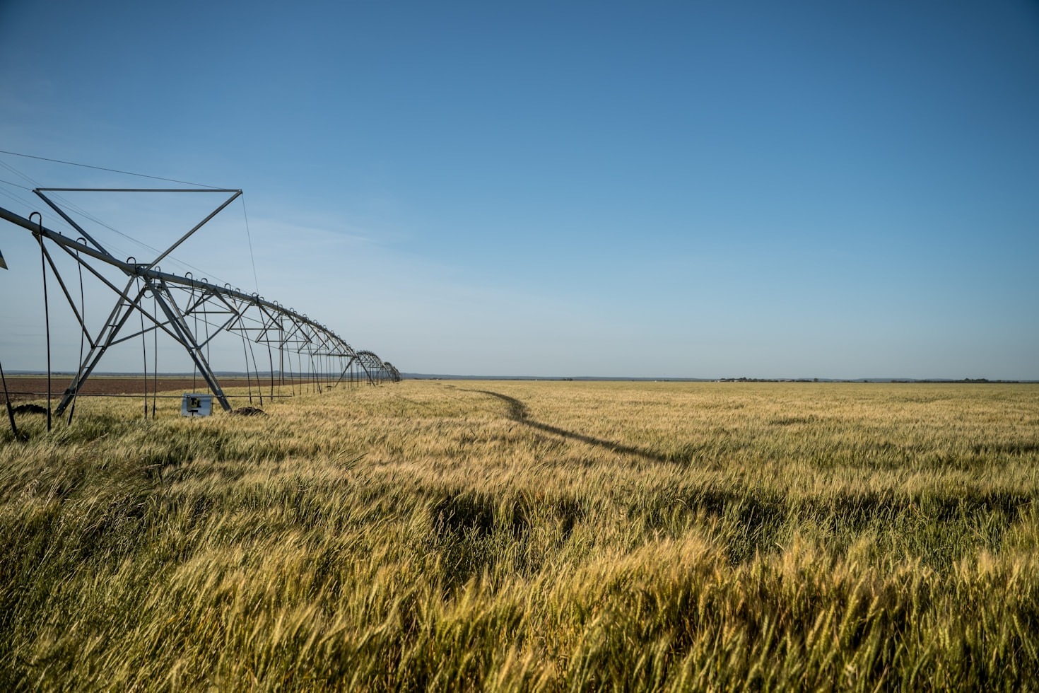 Tworzenie trawnika od podstaw – poradnik